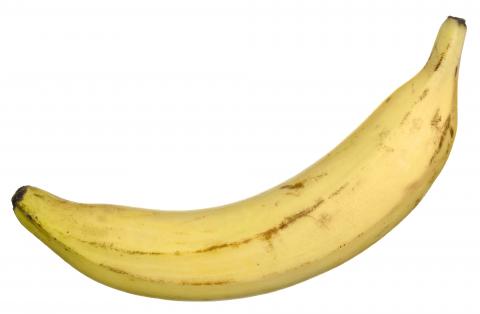 Yellow Plantain Display