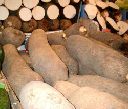 Ghana Yams Display