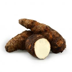 MALANGA WHITE Display